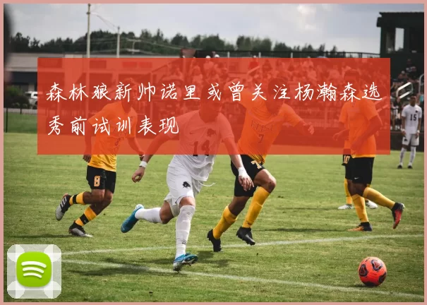 森林狼新帅诺里或曾关注杨瀚森选秀前试训表现